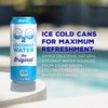 C2O - Coconut Water, The Original Flavor (8 Pack) -