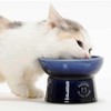 Nekoichi Cat Food Bowl with Legs, Mino Ware, Made in