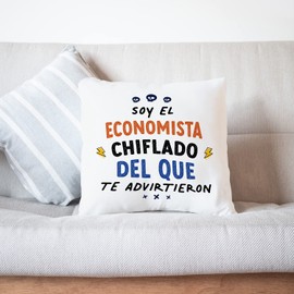 Mugffins Cushion with Filling with Saying for Ökonom - In Spanish - Todos te Advirtieron - 40 x 40 cm - Original and Funny Gift Employee