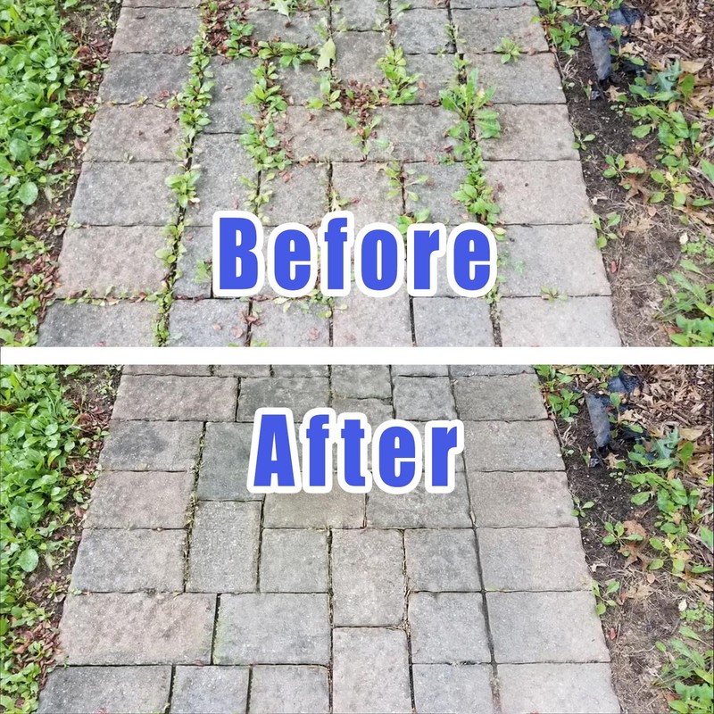 NeJesZoe 8 Inch Steel Wire Weed Wheel Brush Cutter Trimmer