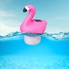 Pink Flamingo Solar Floating Chlorine Tablet Dispenser for Pools, Lights