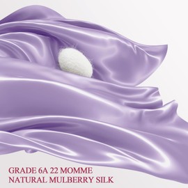 WLOSJ 100% Silk Pillow Cases Standard Size Mulberry Silk Pillowcase for Hair and Skin 22 Momme Highest Grade 6A Silk with Hidden Zipper 20 x 26 Inches 1PC, Lavender