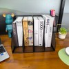 RHONZHAO 2 Set Desk Organizers, Metal Desk Magazine File Holder