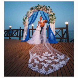 Ursumy - Velo largo de la catedral de encaje de boda con peine de 299,7 pulgadas (blanco)