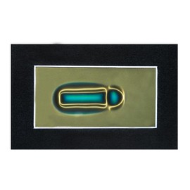 2 x 4 Inch Magnetic Field Viewing Film, Magnetic Field Viewer, Magnetic Flux Display, Magnet Pattern Detector, Scientific Project Teaching, Automatic and Reusable Recovery