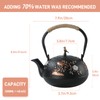 Cast Iron Teapot SECHUDO Teapot for Stovetop Safe Coated with