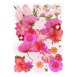 40Pcs Pink Dried Pressed Flowers for Crafts,Xinxinran Dry Flowers Kit for Resin Molds,Epoxy Resin Accessories,Bookmark,Nails, Jewelry Molds,Candle Making Supplies,Soap,Frame,Cakes