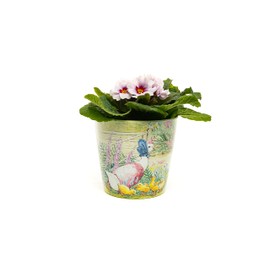 Beatrix Potter Peter Rabbit Eco Pots Set 1 - Mrs Tiggy-Winkle, Jemima & Mr Tod and Peter & Mr McGregor pots as a SET of 3
