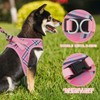 MoNiBloom No Pull Dog Harness w/Leash Set, Reflective Soft Puppy