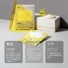 Bio Fermentation Micro-Current Mask