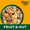 Kellogg's Crunchy Nut Fruit & Nut Granola Bag, 380g