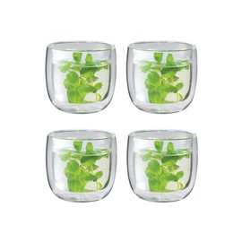 ZWILLING Sorrento Glass Teacup, 4, White