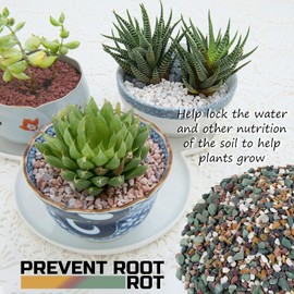 2LBS Horticultural Succulent Rocks Bonsai Mix Succulent Potting Mix Lava Rocks Cactus Soil Potting Mix Amendment