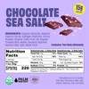 JustNosh Collagen Protein Bars – Chocolate Sea Salt, 15g Protein,