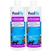 POOLIFE Filter Cleaner (1 qt) (2 Pack)