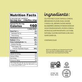 Katz Gluten Free Blueberry Muffin Snacks | Dairy Free, Nut Free, Soy Free, Gluten Free | Kosher (1 Pack, 6 Ounce)