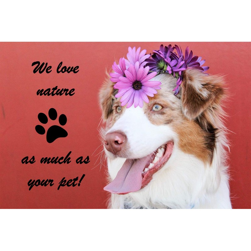 Cadoc - Nature Exclusive Algae Flour