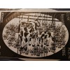 Vinyl Etchings Cow Scene Window Decal 4"x6" OVAL Etched Glass