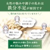 フェリチンセレクト 鉄 10mg フェリチン鉄 ヘム鉄 葉酸 ビタミンC サプリメント 漢方生薬研究所 (1袋)