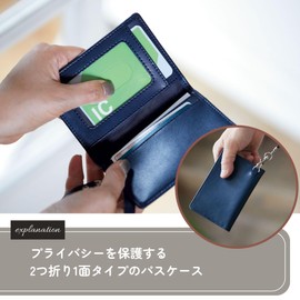 Raymei Fujii GLP1166N Gloire Bifold Gray Pass Case