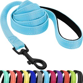 CollarDirect Nylon Dog Leash 5ft for Daily Outdoor Walking Running Training Heavy Duty Reflective Pet Leashes for Large, Medium & Small Dogs (Light Blue, Small)