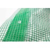 VEPATIM Grid Tarpaulin 2.00 x 1.00 m Transparent with Green