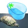 POPETPOP Turtle Lagoon-Small Turtle Habitat with Plastic Wwamp Trees-Turtle Live