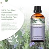 Phatoil Rosemary 1.0 fl oz (30 ml), Essential Oil, Essential