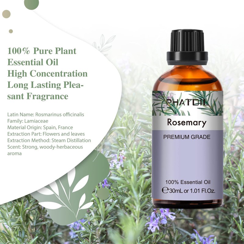 Phatoil Rosemary 1.0 fl oz (30 ml), Essential Oil, Essential