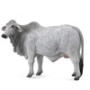 CollectA Brahman Cow