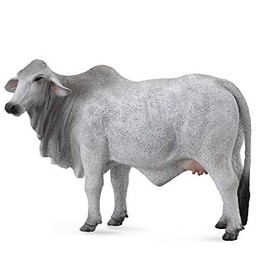 CollectA Brahman Cow