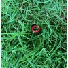 DieHard Nozzles and Garden Tools Easy to Spot Red Hose