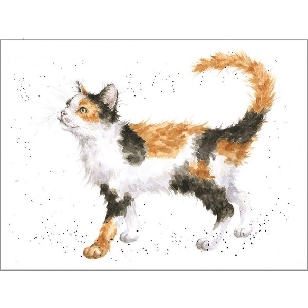 Wrendale Designs Greeting Card - CALICO CAT (Cat)