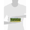 Noch® Betulle, con Alberi modellistici, Altezza 10 cm, Ideale per