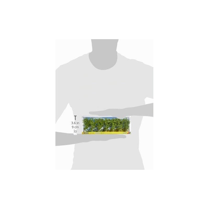 Noch® Betulle, con Alberi modellistici, Altezza 10 cm, Ideale per