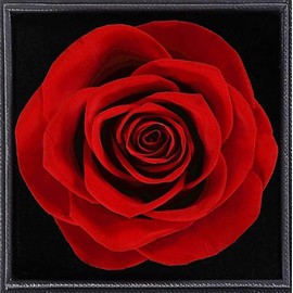 Birthday Gifts for Mom,Mom Birthday Gifts from Daughter,Preserved Rose with Necklace for Mom,Women,Her