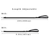 TAIAN Adjustable Nylon Dog Leash, 6FT/10 FT Long Dog Leashes