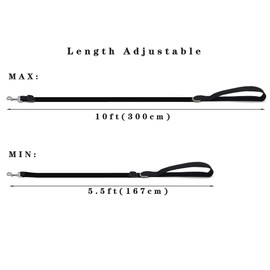 TAIAN Adjustable Nylon Dog Leash, 6FT/10 FT Long Dog Leashes for Small Medium Large Dogs (1 in x 6 ft, Rainbow)