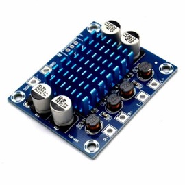 Digital Stereo Power Amplifier Module - 2 x 30W - XH-A232