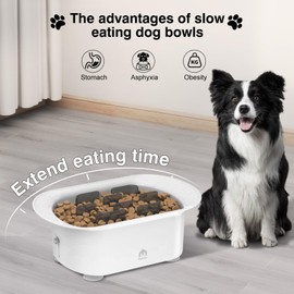 PETPATH Slow Feeder Dog Bowl, 4-Cup Santi-Suffocation Slow Feeding Bowl, with Suction Cup Dog Bowls,Adjustable Height Feeder,Suitable for Small and Medium Dogs