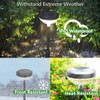 Solar Lights Outdoor Waterproof IP65, 2 Modes LED Warm White