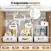 2 Pack 19IN Depth Under Sink Storage Organizer, Large 2-Tier