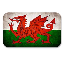 2 x 10cm/100mm Wales Welsh Flag Window Cling Sticker Car Van Campervan Glass #6189