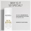 Goldwell Dualsenses Rich Repair Shampoo 10.1 oz