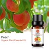 Peach Essential Oil 100% Pure Oganic Plant Natrual Flower Essential