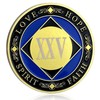 CHURYUML 25 Year NA Coins Recovery Chip Narcotics Anonymous Gifts