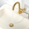 Luxier Brass Bathroom Sink Pop-Up Drain Stopper for Vessel and
