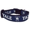 College Dog Collar (Large, Yale)