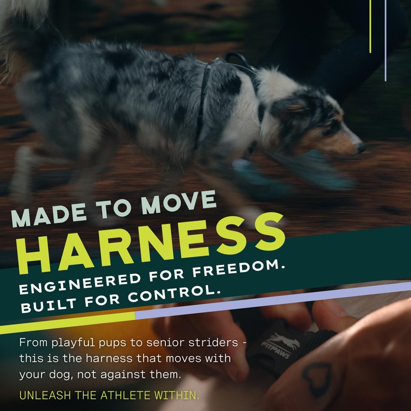 FitPAWS Made to Move No-Pull Harness | Adjustable Fit |