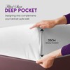 Sunshine Comfort® Brushed Cotton Flannel Non Iron 25cm Fitted Bed